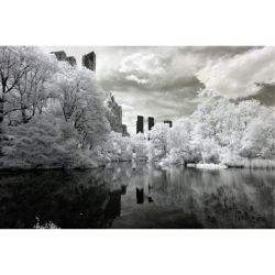 CENTRAL PARK B&W Poster