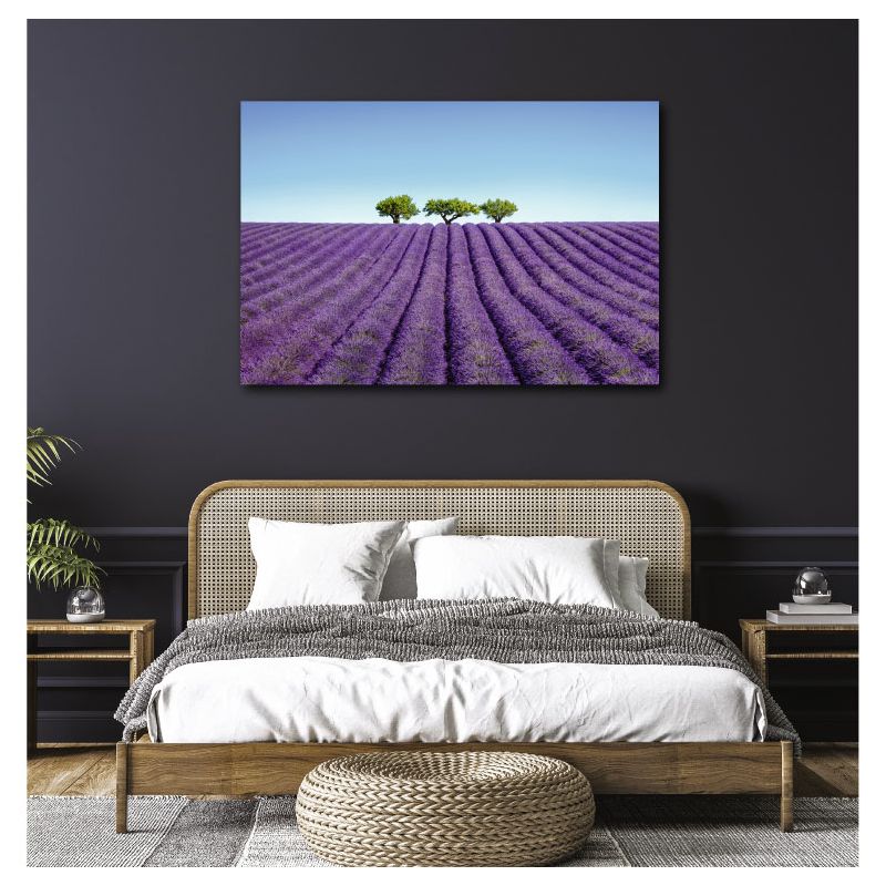 COLOUR LAVENDER poster