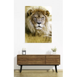LION Canvas print