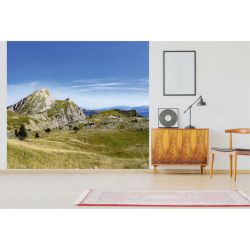 Póster DECORACIÓN VERCORS