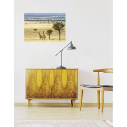 Poster DOUCE SAVANE