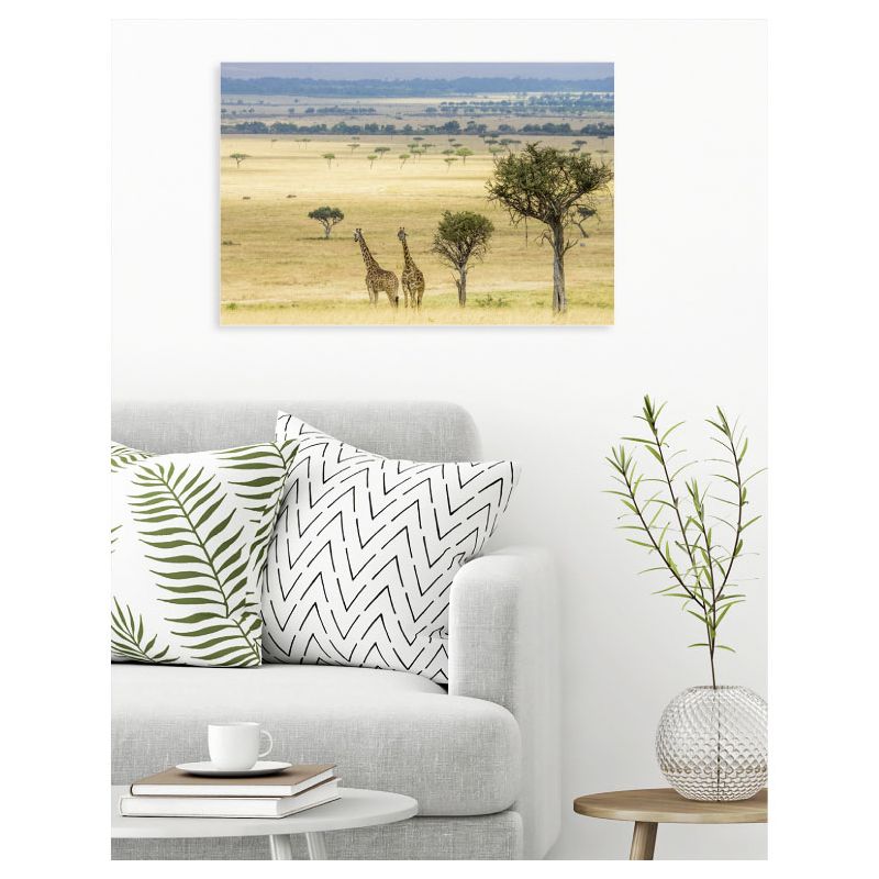 GENTLE SAVANIA poster
