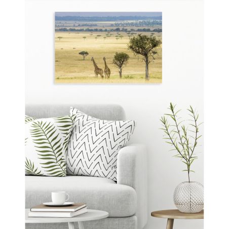GENTLE SAVANIA poster