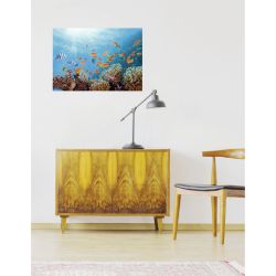 Poster FOND MARIN