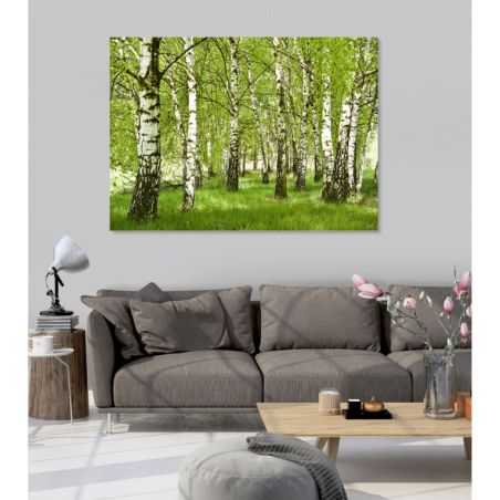 BIRCH FOREST Poster