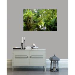 Póster BOSQUE TROPICAL