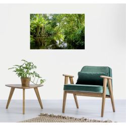 TROPICAL FOREST Poster