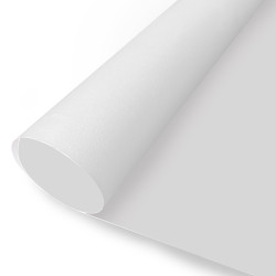 Plain beige wallpaper roll - Scenolia