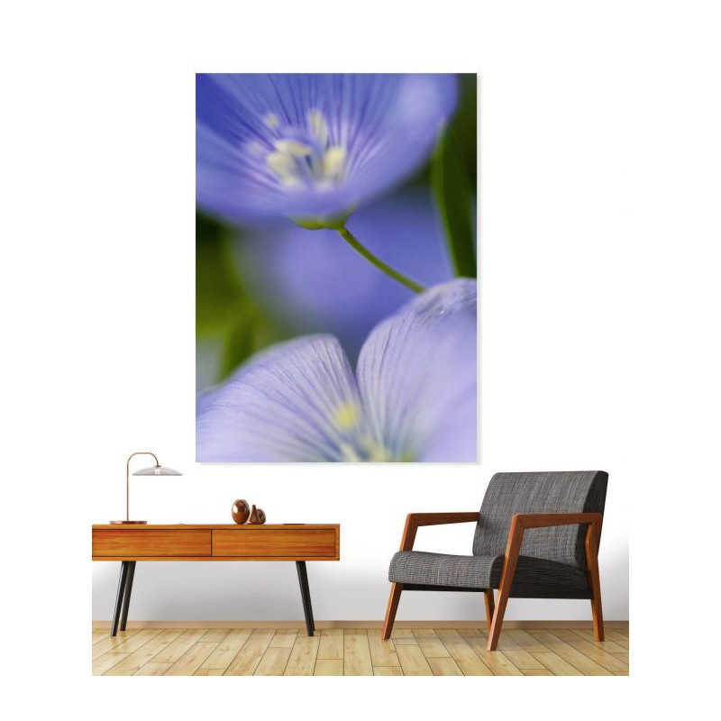 Tableau MAJORELLE