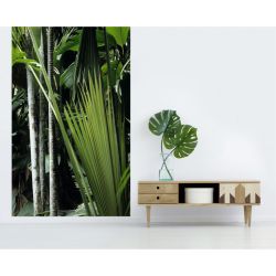 Papier peint jungle avec feuillage géant