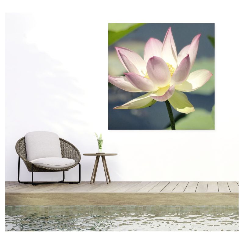 LOTUS Privacy screen