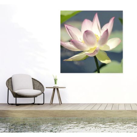 LOTUS Privacy screen