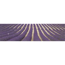 LAVENDER privacy screen