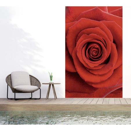 PASSION privacy screen