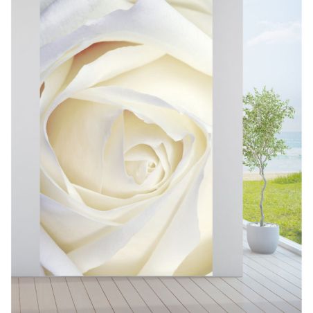 WHITE ROSE privacy screen