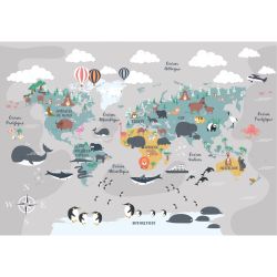 DISCOVERING THE PLANET poster