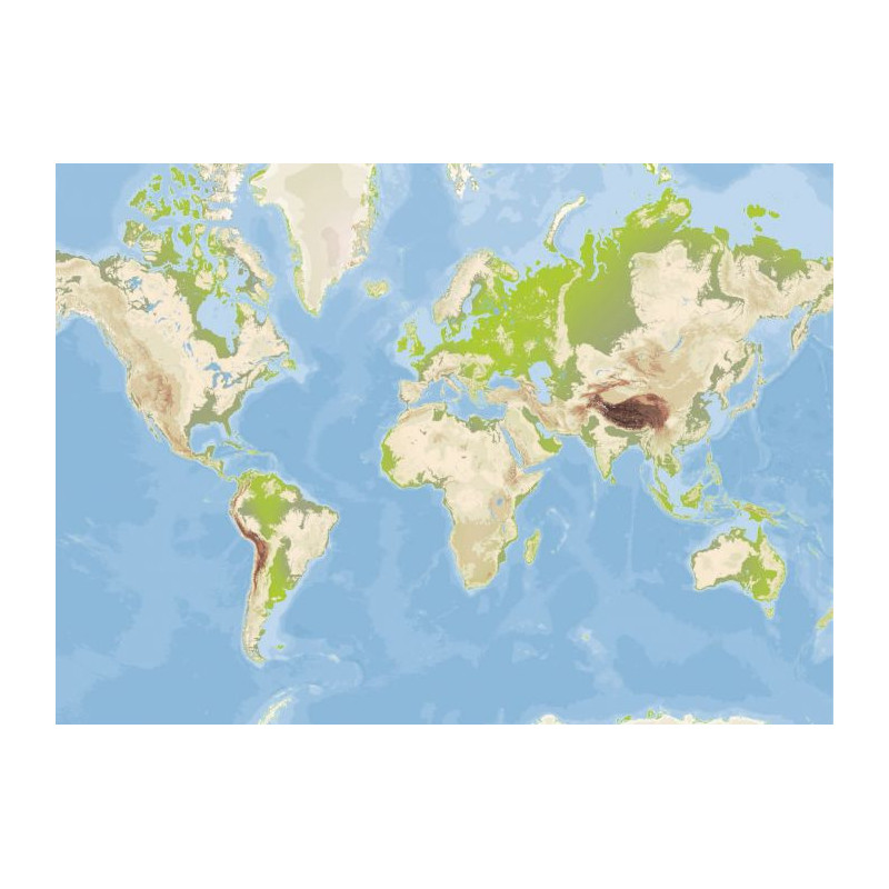Cuadro en lienzo MAPPEMONDE - Lienzo mapa del mundo