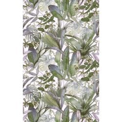 SPOTTED ORCHIDS wallpaper