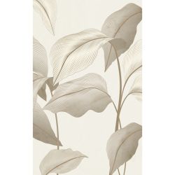Poster FLEURS SECHEES