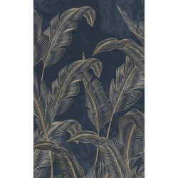 EXOTIC CLASSIC poster