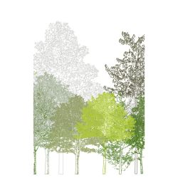 LIGHT FOREST wall hanging