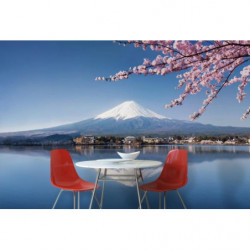 Poster MONT FUJI