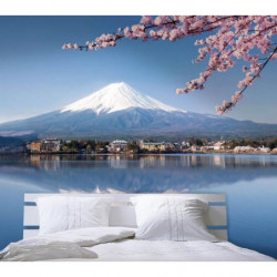 Póster MONTE FUJI