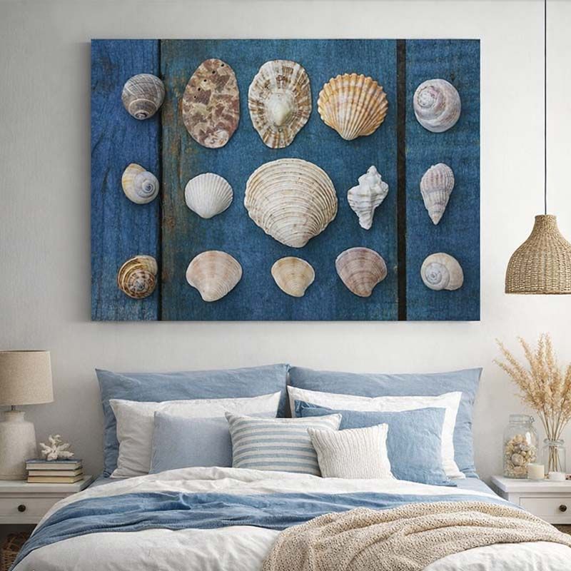Póster COLECCIÓN DE CONCHAS