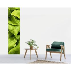 Papel pintado CASCADA DE PLANTAS
