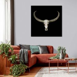 BUFFALO SKULL canvas print
