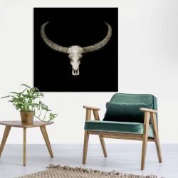 BUFFALO SKULL canvas print