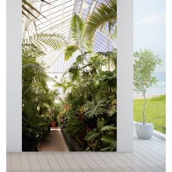 Brise-vue végétal pour terrasse et balcon