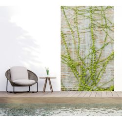 LIANA privacy screen