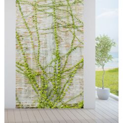 LIANA privacy screen