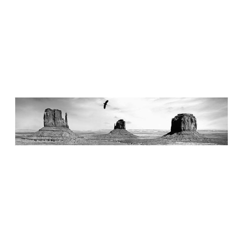 Póster MONUMENT VALLEY B&W - Poster en blanco y negro