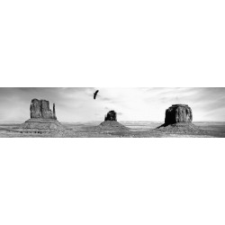 Papel pintado MONUMENT VALLEY B&W