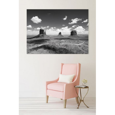 MONUMENT VALLEY NB canvas print