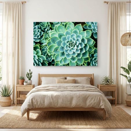 Tableau SUCCULENTE