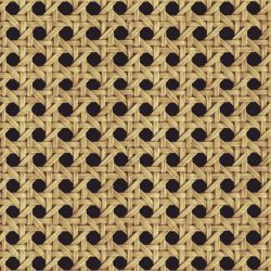 Zoom papier peint cannage pour salon