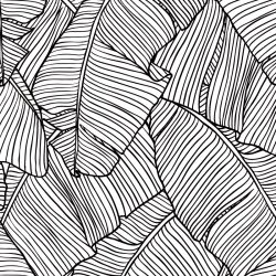 Zoom sur le motif feuillage noir et blanc
