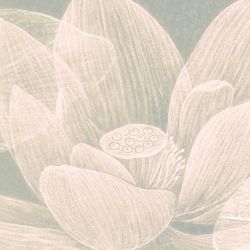 DIAPHANOUS WATER LILIES wallpaper