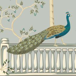 MAJESTIC PEACOCKS wallpaper