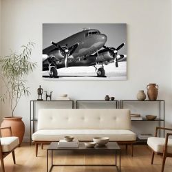 Tableau avion noir et blanc dans un salon lumineux.