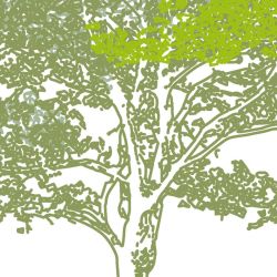 Zoom sur le papier peint foret et ses détails graphiques