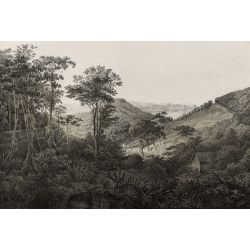 ENGRAVING PRINT wallpaper