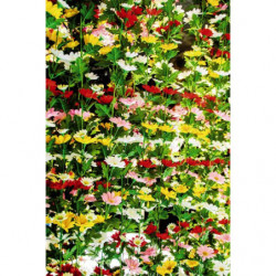 FLOWERED WALL privacy screen