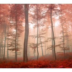 Papel pintado BOSQUE PURPURA