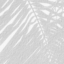 SHADOWS wallpaper