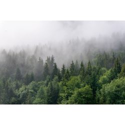 Tapisserie panoramique paysage brumeux