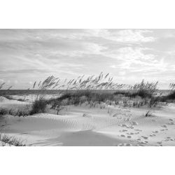OCEAN SCENE BLACK AND WHITE wallpaper